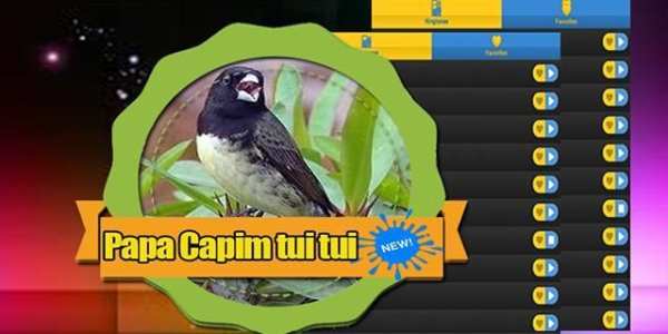 Canto Papa Capim Tui Tui Puro screenshot 1