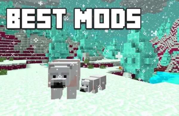 Mods for Minecraft PE screenshot 1