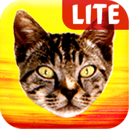 Pussy Malone Lite आइकन