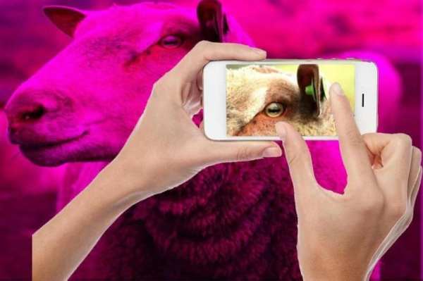 zoom camera HD 2017 screenshot 4