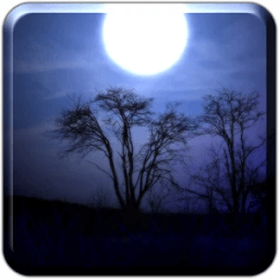 Night Shadow LITE आइकन