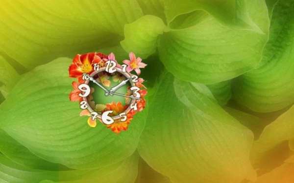 Lilium Flower Clock स्क्रीनशॉट 6