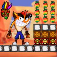 Temple Fox Adventures