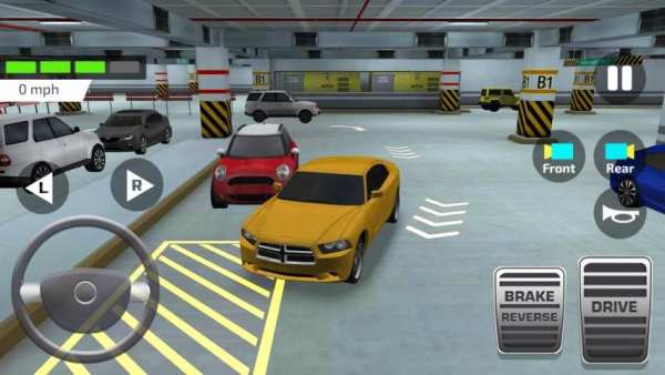 Indian Driving Test screenshot 4