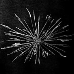 Clash of Crowds icon