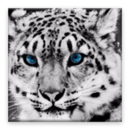 sound of animals icon