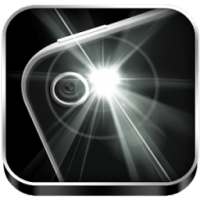 Torch Blacklight Flashlight