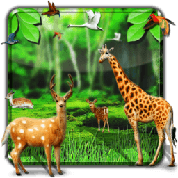 Forest HD Live Wallpaper иконка