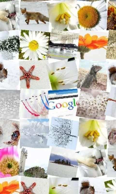 ZaBa Photo Mosaic Lite screenshot 4