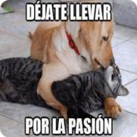 Imagenes Chulas on 9Apps