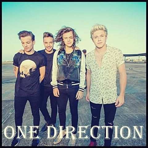 One Direction Lyrics скриншот 3