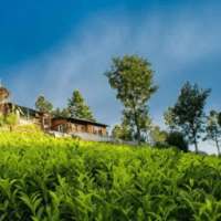 Leopard's Den Coonoor