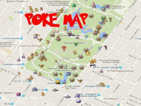 Poke Map for Pokemon GO screenshot 1