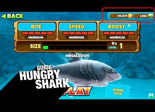 Карта сокровищ в hungry shark