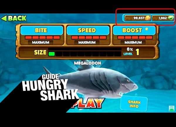 Free Hungry Shark Guide screenshot 3