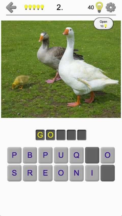 Birds World - Feathered Quiz screenshot 5
