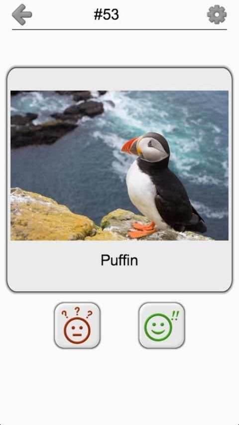 Birds World - Feathered Quiz screenshot 2