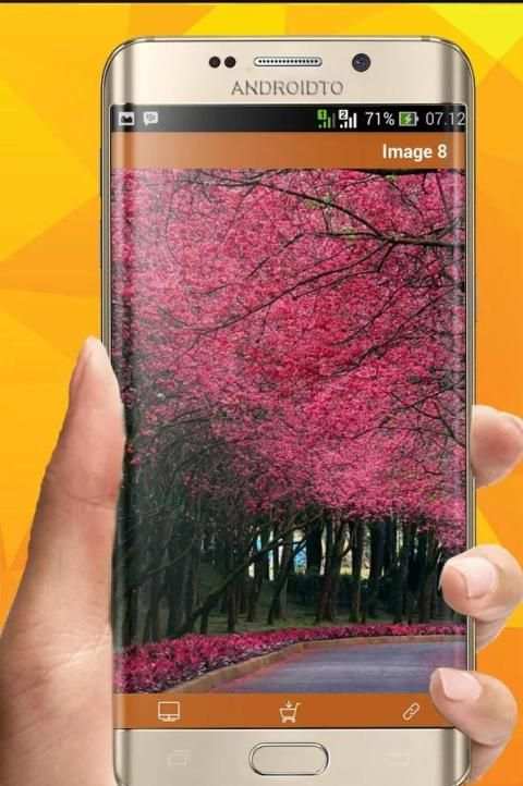 Pink Wallpapers 8K screenshot 4