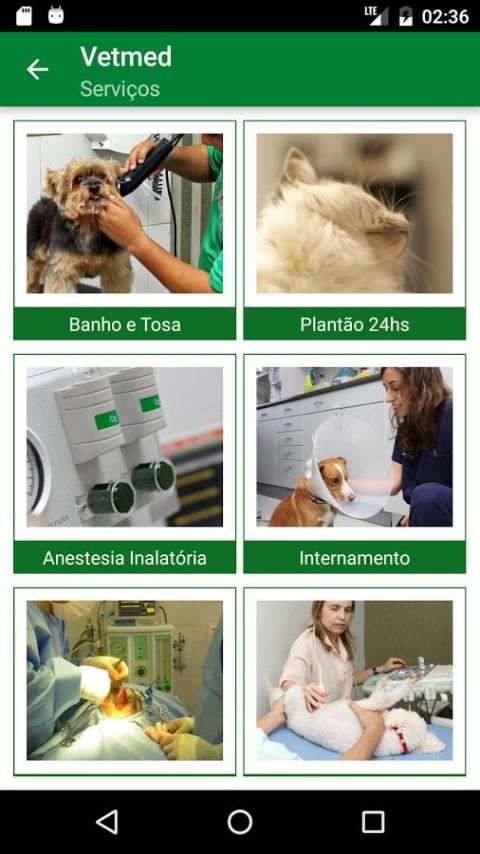 Vetmed скриншот 1