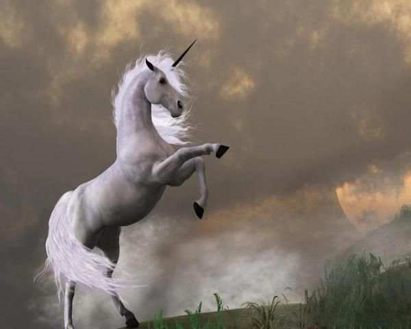 Fantasy Unicorn Puzzle screenshot 2