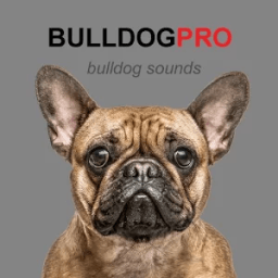 ikon Bulldog Sounds &amp; Dog Barks