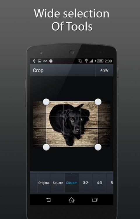 Profile Picture Editor screenshot 2