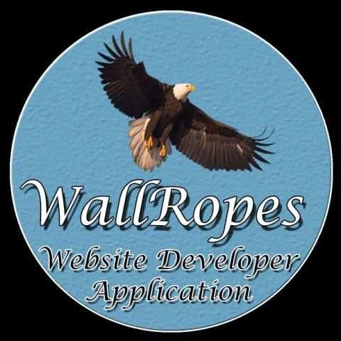 Website Developer स्क्रीनशॉट 3