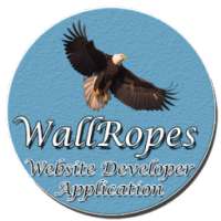 Website Developer on 9Apps