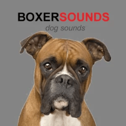 ikon Boxer Dog Sounds &amp; Dog Barking