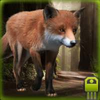 Simulator Fox Pintar