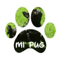 Mi PUG