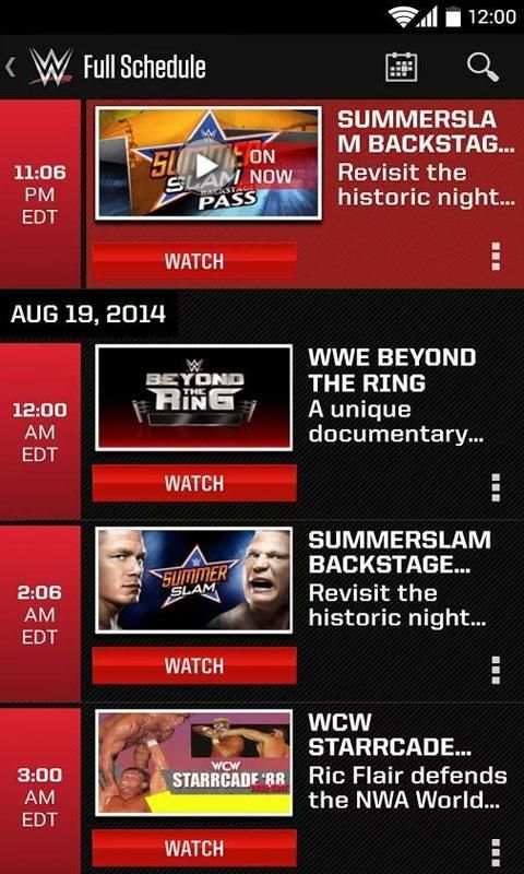 WWE screenshot 3