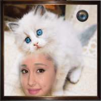 Selfie with A Pussy Cat