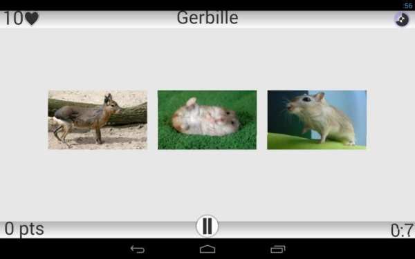 Animaux Quiz скриншот 3