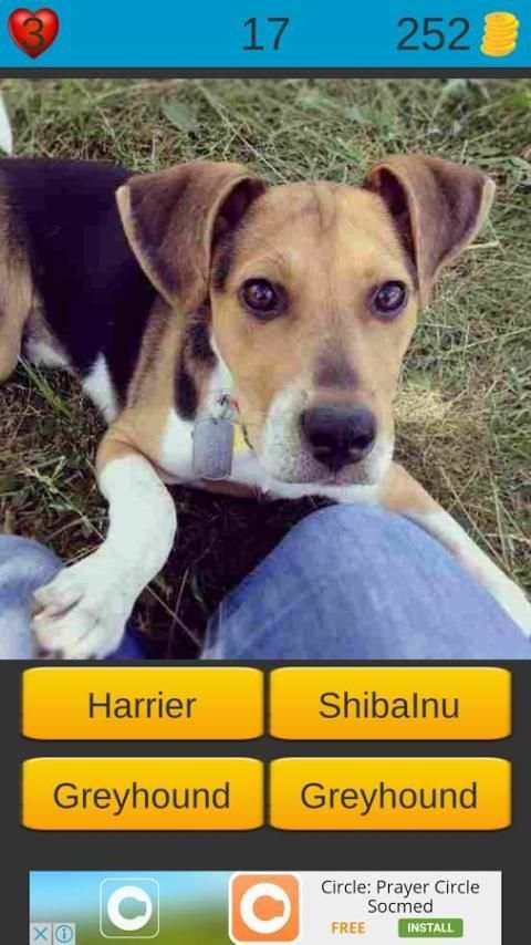 Dog Breeds Game: Dog Names screenshot 6