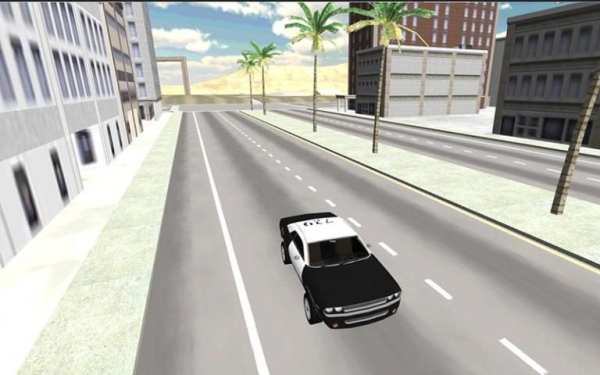 Police Car Racer 3D screenshot 16