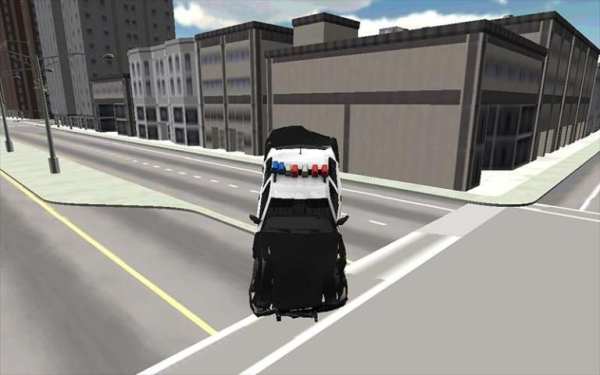 Police Car Racer 3D screenshot 19