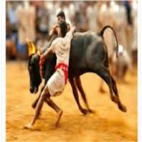 ikon Jallikattu Banner
