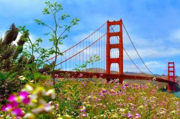 Famous Bridge Photo Background स्क्रीनशॉट 1