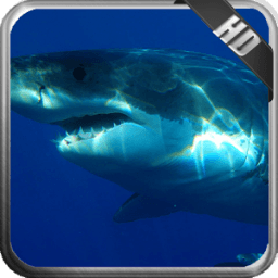 Megalodon Wallpaper иконка