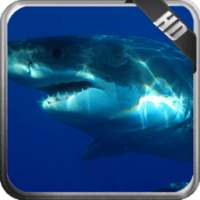 Megalodon Wallpaper on 9Apps