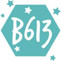 Camera B613 on 9Apps