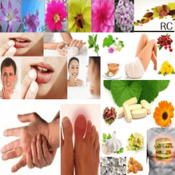 Remedios Caseros icon