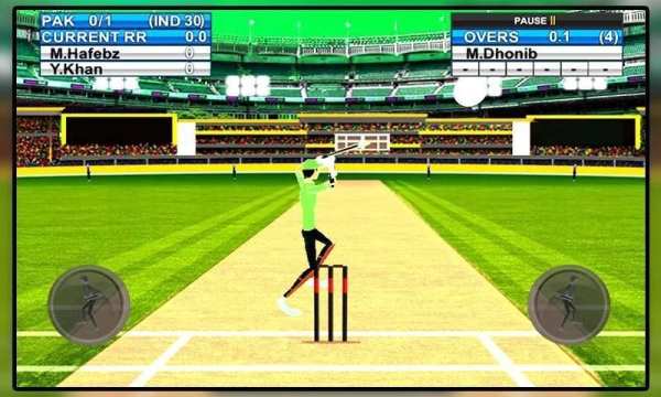 Let's Play Cricket screenshot 3