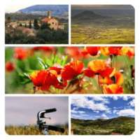 Photo Collage Creator on 9Apps