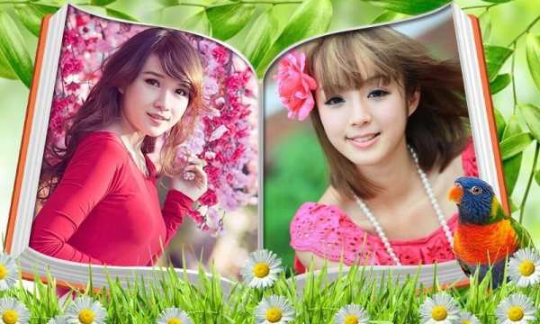 Dual Books photo frames скриншот 3