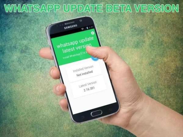 update WhatsApp beta version screenshot 5
