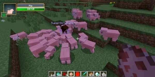 Pet Mod for Minecraft PE screenshot 1
