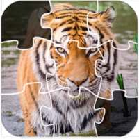 Animal Puzzles Jigsaw for Kids