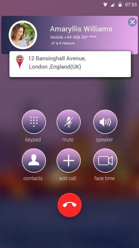 Reverse Lookup screenshot 3